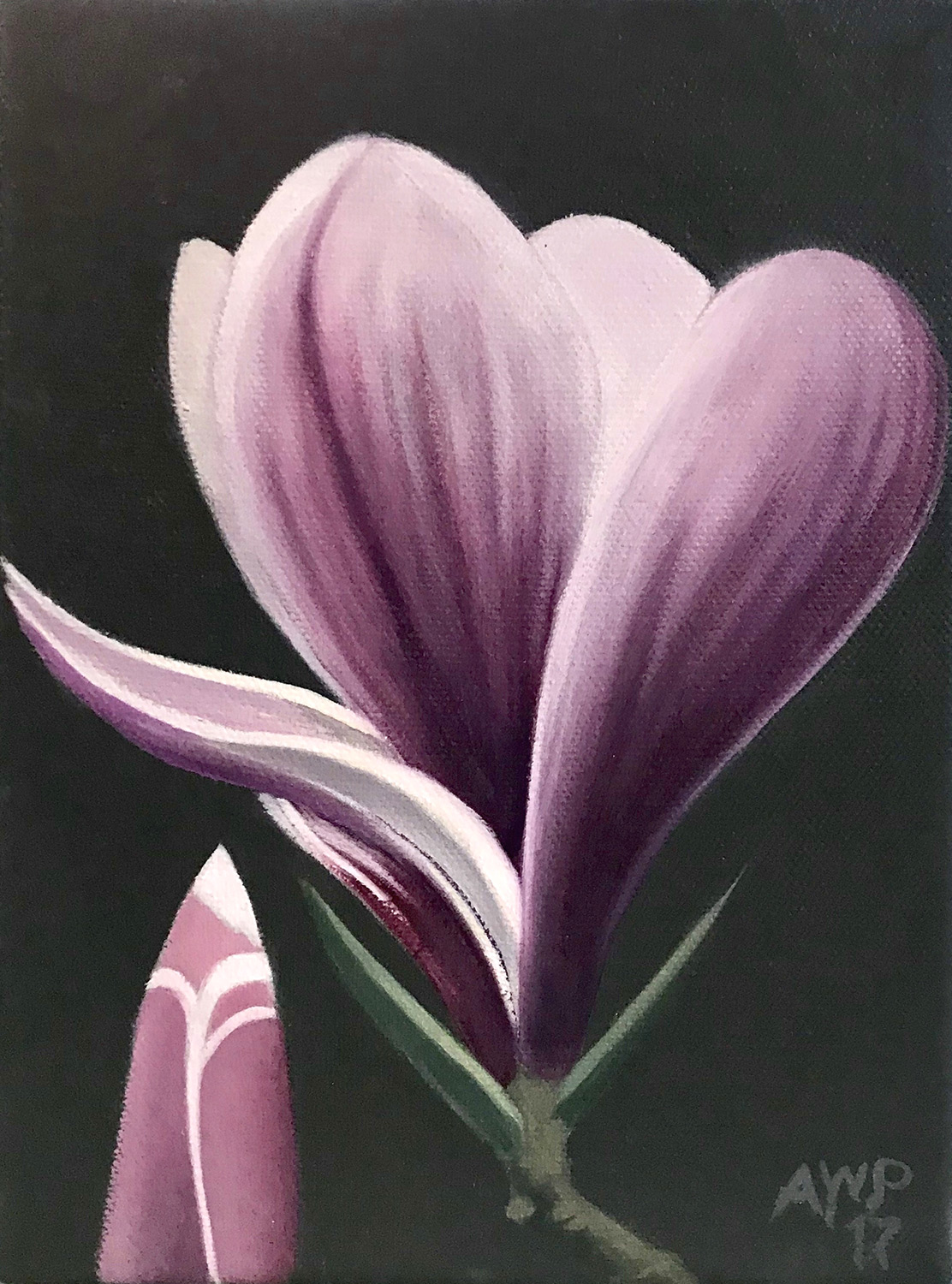 2 Monumental Magnolia Final 2